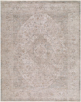 Livabliss Demre DMM-2307 10' x 14' Machine Woven Rug