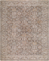 Livabliss Demre DMM-2309 10' x 14' Machine Woven Rug