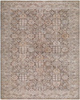 Livabliss Demre DMM-2309 6'7" x 9'4" Machine Woven Rug