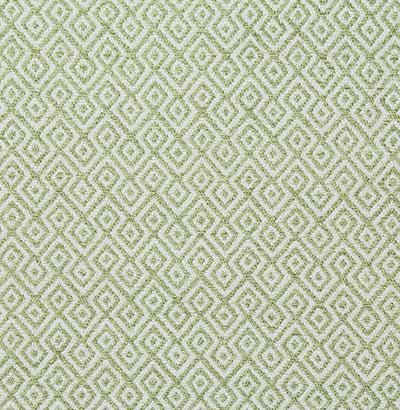 Pindler AUDLEY LEAF Fabric