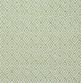 Pindler AUDLEY LEAF Fabric