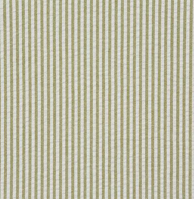 Pindler FLINT SPROUT Fabric