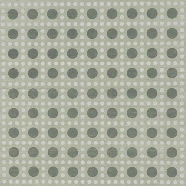 Schumacher X Backdrop Puntini Sisal Seaglass Wallpaper
