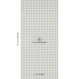 Schumacher X Backdrop Puntini Sisal Seaglass Wallpaper