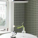 Schumacher X Backdrop Puntini Sisal Seaglass Wallpaper