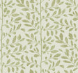 A-Street Prints Drew & Jonathan Home Fifth Edition Sagecrest Sage Wallpaper