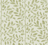 A-Street Prints Drew & Jonathan Home Fifth Edition Sagecrest Sage Wallpaper