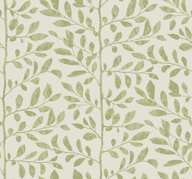 A-Street Prints Drew & Jonathan Home Fifth Edition Sagecrest Sage Wallpaper