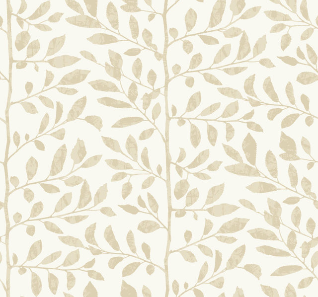 A-Street Prints Drew & Jonathan Home Fifth Edition Sagecrest Platinum Wallpaper
