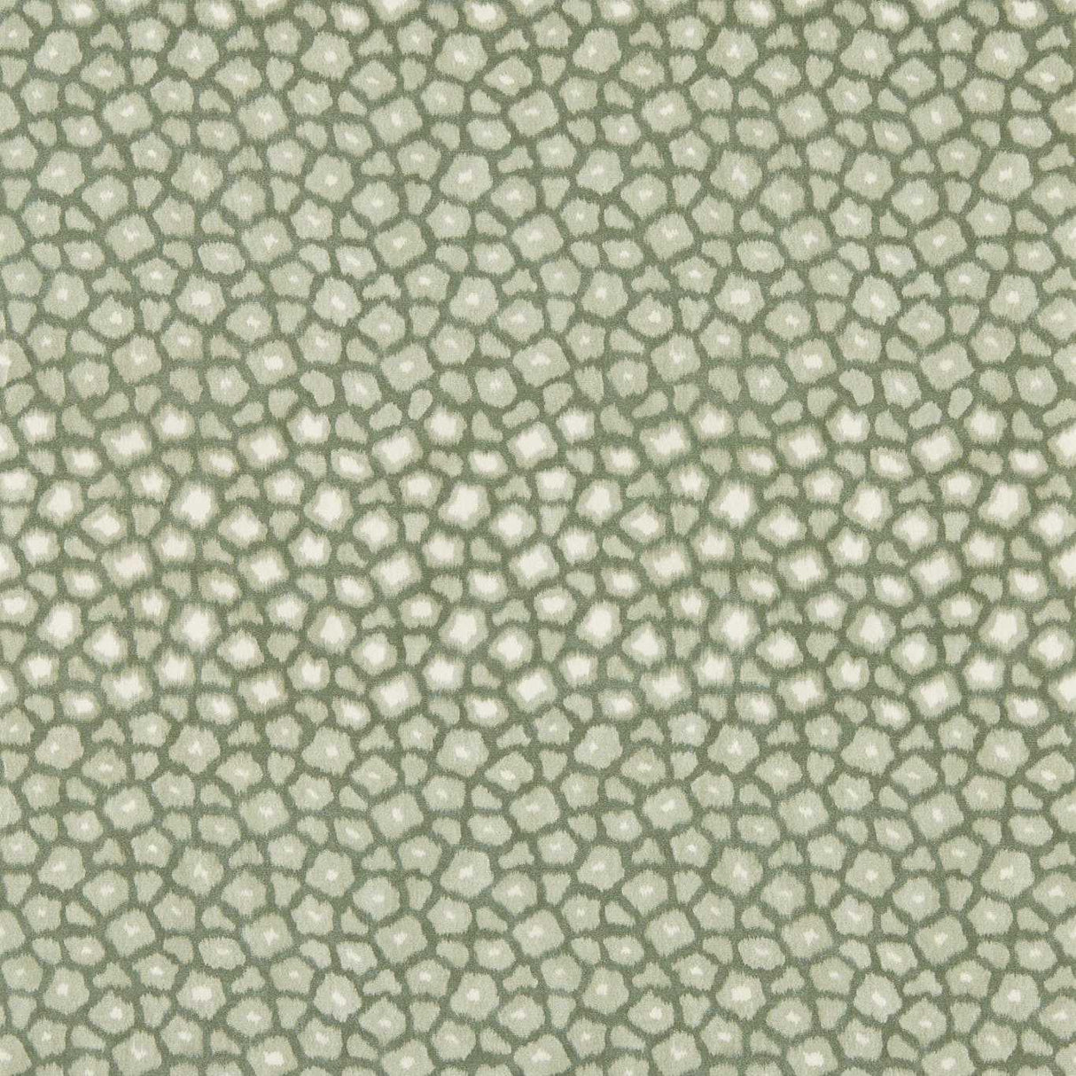 Harlequin Loam Evergreen Wallpaper