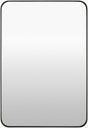 Livabliss Carbondale CALE-004 35"H x 24"W x 2"D Mirror