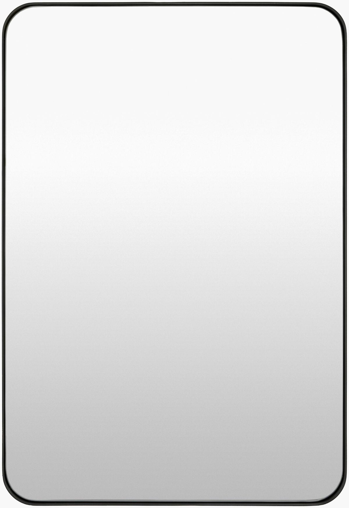 Livabliss Carbondale CALE-004 35"H x 24"W x 2"D Mirror