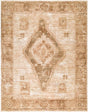 Livabliss The Vintage Edit II RZDT-2307 6'7" x 9'6" Machine Woven Rug