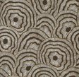 Kravet PANACHE WP CHOCOLATE Wallpaper
