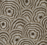 Kravet PANACHE WP CHOCOLATE Wallpaper