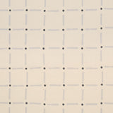 Schumacher Drifting Grid Sky Fabric