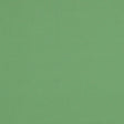 Schumacher Elliott Brushed Cotton Basil Fabric