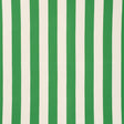 Schumacher Cabana Stripe Indoor/Outdoor & Green Fabric