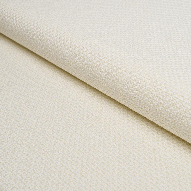 Schumacher Raye Performance White Fabric