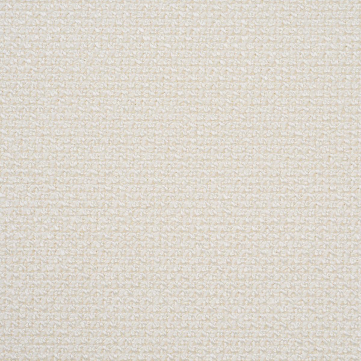 Schumacher Raye Performance White Fabric