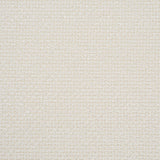 Schumacher Raye Performance White Fabric