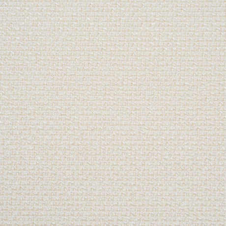 Schumacher Raye Performance White Fabric