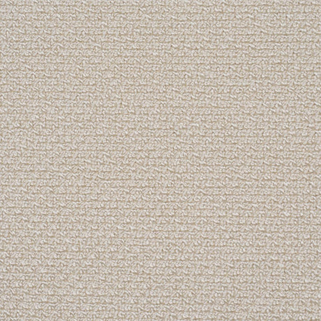 Schumacher Raye Performance Oat Fabric