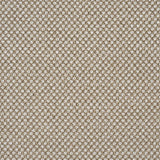 Schumacher Raye Performance Sand Fabric