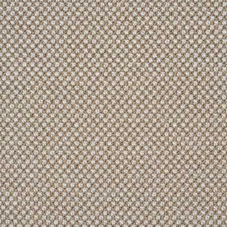 Schumacher Raye Performance Sand Fabric