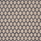 Schumacher Dayana Performance Graphite Fabric