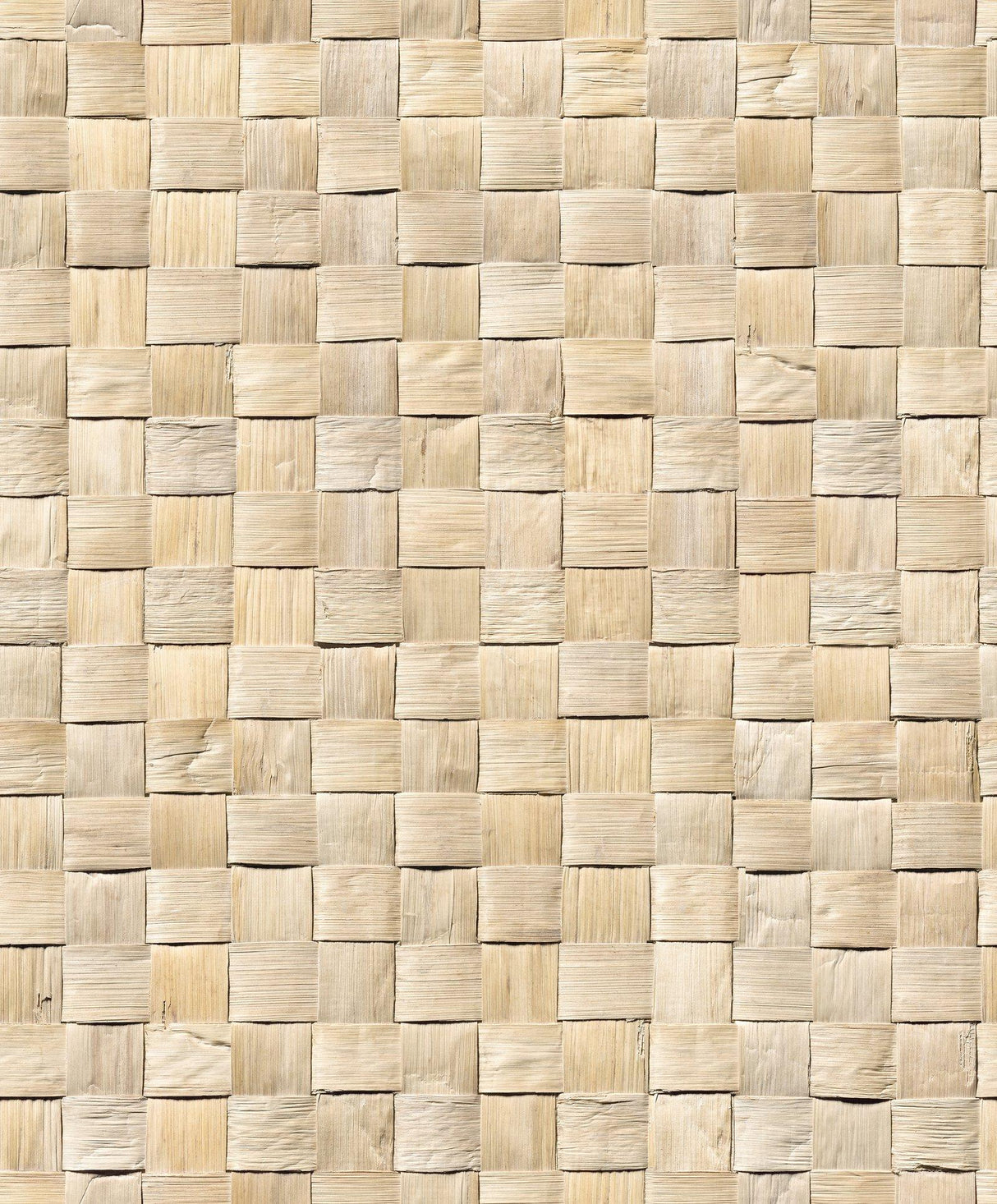 Galerie 45740 The Woods and Wicker 3D optics Beige Wallpaper 45740 Beige Wallpaper