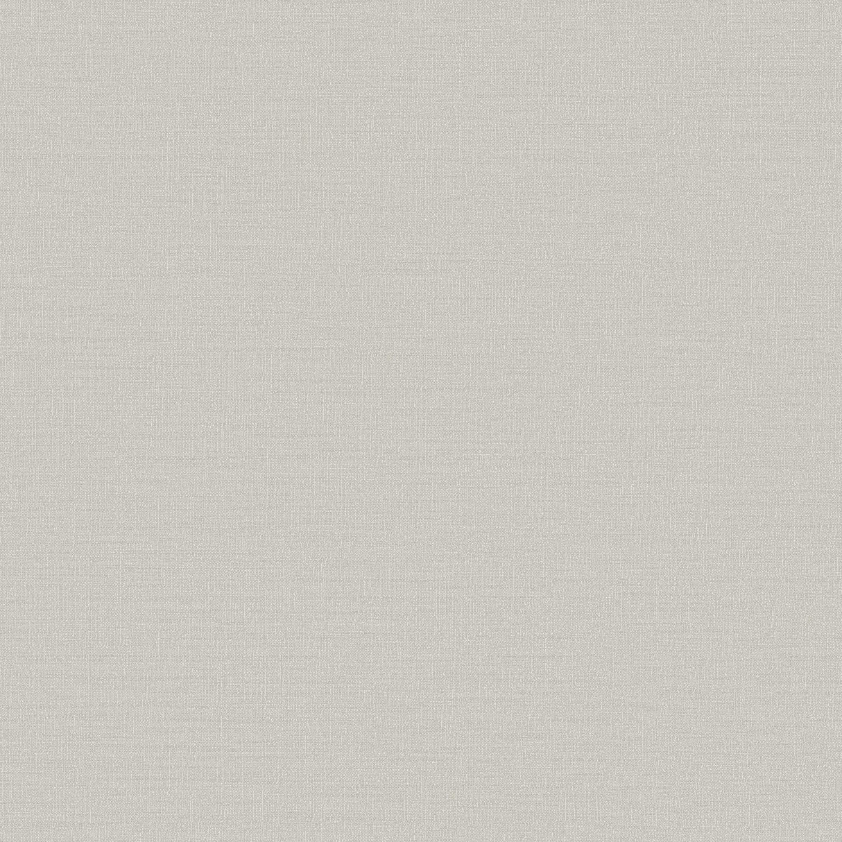 Galerie DC30099 Designer Colors Abstract Texture Beige Wallpaper DC30099 Beige Wallpaper