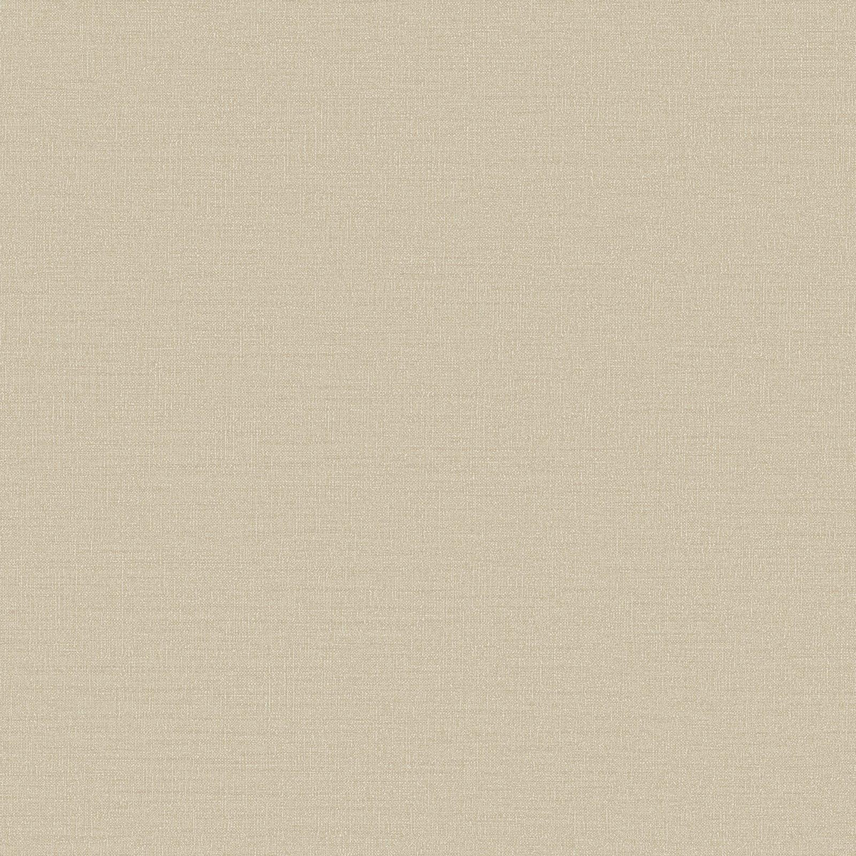 Galerie DC30117 Designer Colors Abstract Texture Beige Wallpaper DC30117 Beige Wallpaper