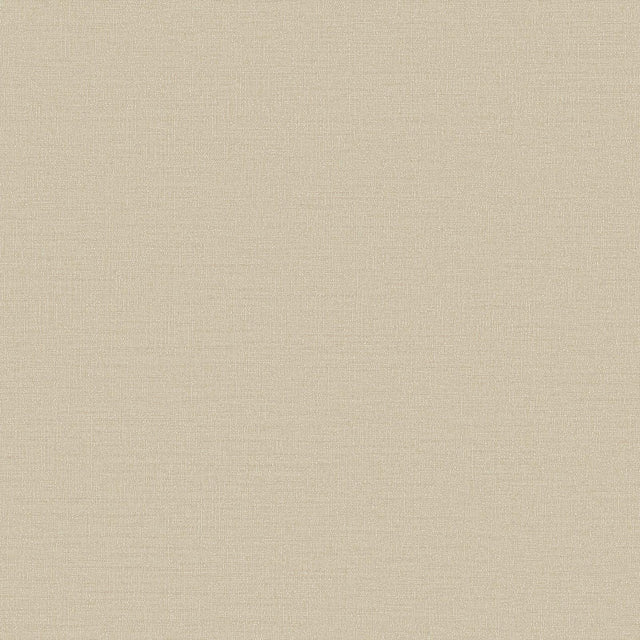 Galerie DC30117 Designer Colors Abstract Texture Beige Wallpaper DC30117 Beige Wallpaper