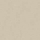 Galerie DC30122 Designer Colors Climbing Texture Beige Wallpaper DC30122 Beige Wallpaper