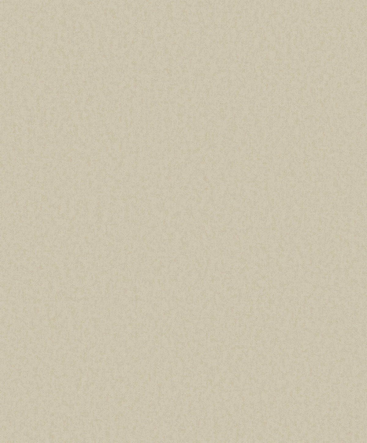 Galerie DC30135 Designer Colors Even Texture Beige Wallpaper DC30135 Beige Wallpaper