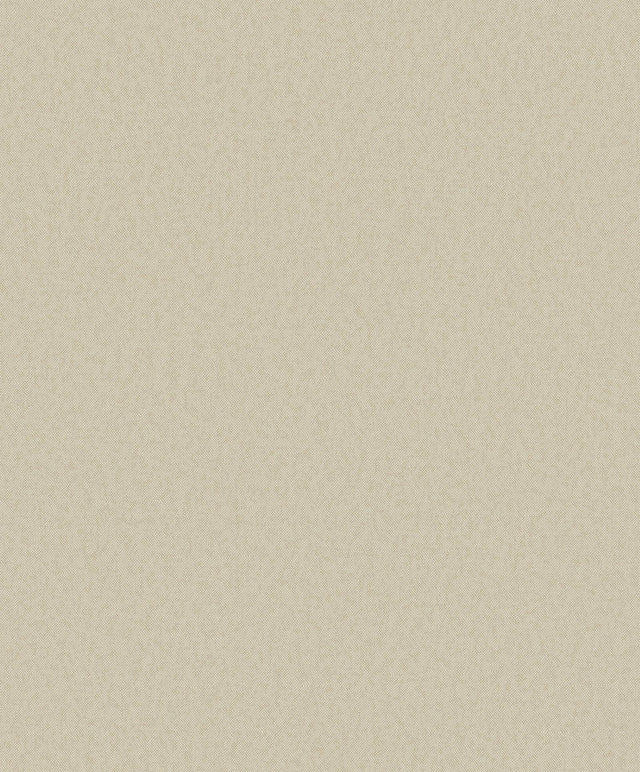 Galerie DC30135 Designer Colors Even Texture Beige Wallpaper DC30135 Beige Wallpaper