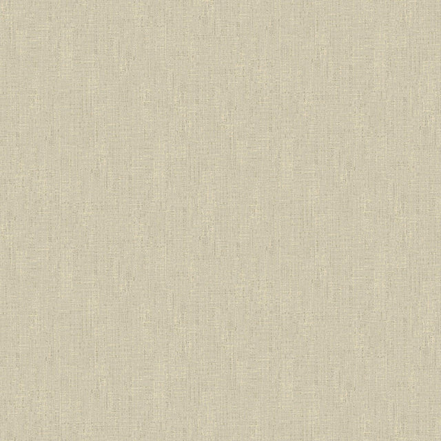Galerie DC30222 Designer Colors Weathered Texture Beige Wallpaper DC30222 Beige Wallpaper
