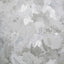 Galerie GH2691123 Julie Feels Home Paeonia Plain Silver Grey Wallpaper GH26911-23 Silver Grey Wallpaper