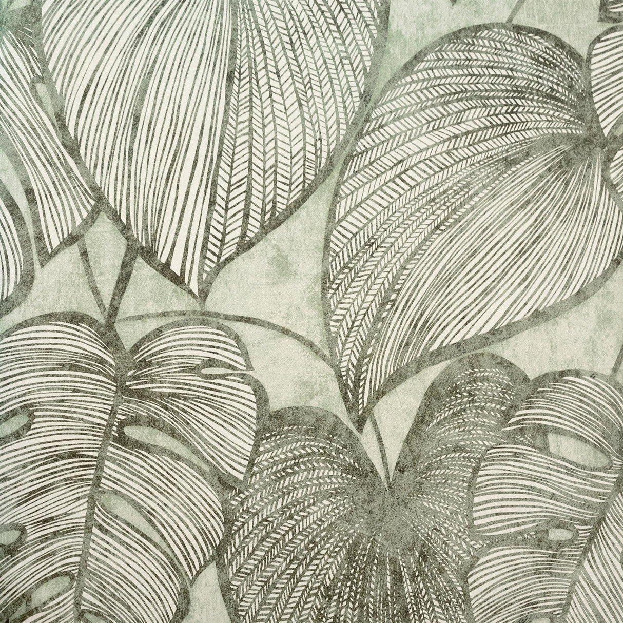 Galerie GH2693523 Julie Feels Home Monstera Green Wallpaper GH26935-23 Green Wallpaper