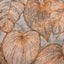 Galerie GH2694023 Julie Feels Home Monstera Orange Wallpaper GH26940-23 Orange Wallpaper