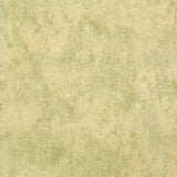 Galerie GH2694423 Julie Feels Home Monstera Plain Yellow Wallpaper GH26944-23 Yellow Wallpaper