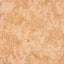 Galerie GH2694623 Julie Feels Home Monstera Plain Orange Wallpaper GH26946-23 Orange Wallpaper