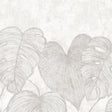 Galerie GH2697923 Julie Feels Home Monstera Twinwall White Mural GH26979-23 White Mural