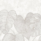 Galerie GH2697923 Julie Feels Home Monstera Twinwall White Mural GH26979-23 White Mural