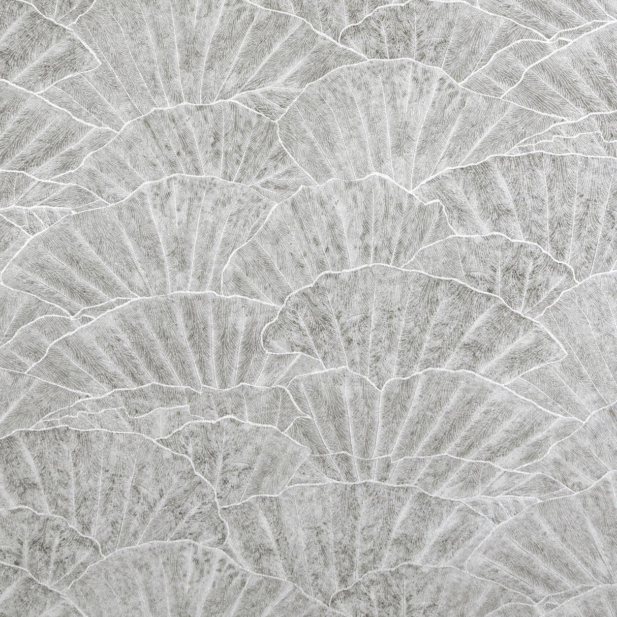 Galerie GH6500223 Feel Seashell Silver Grey Wallpaper GH65002-23 Silver Grey Wallpaper