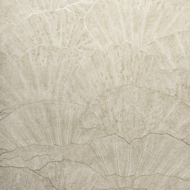 Galerie GH6500323 Feel Seashell Beige Wallpaper GH65003-23 Beige Wallpaper