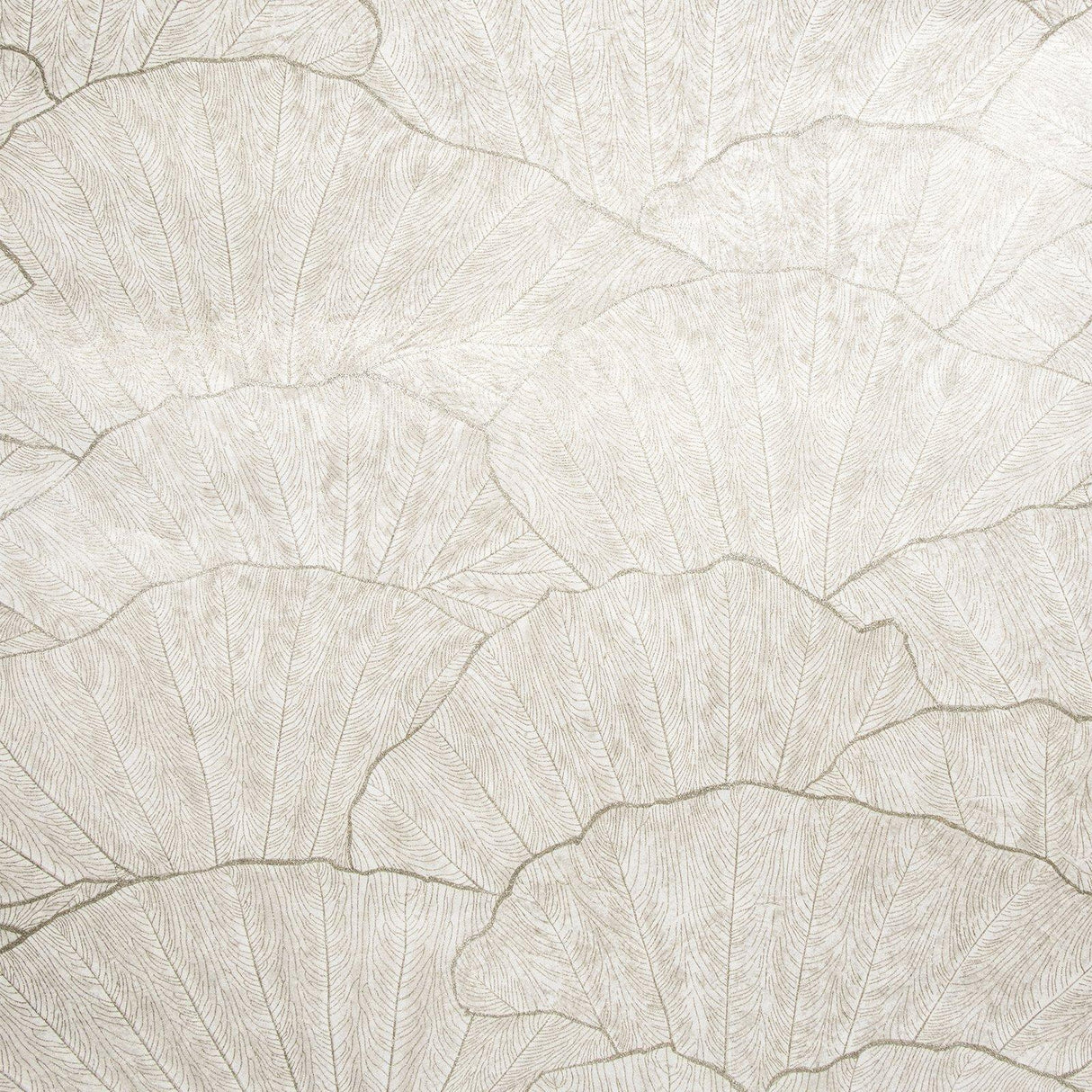 Galerie GH6500423 Feel Seashell Silver Grey Wallpaper GH65004-23 Silver Grey Wallpaper