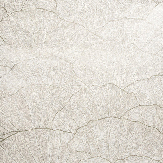 Galerie GH6500423 Feel Seashell Silver Grey Wallpaper GH65004-23 Silver Grey Wallpaper