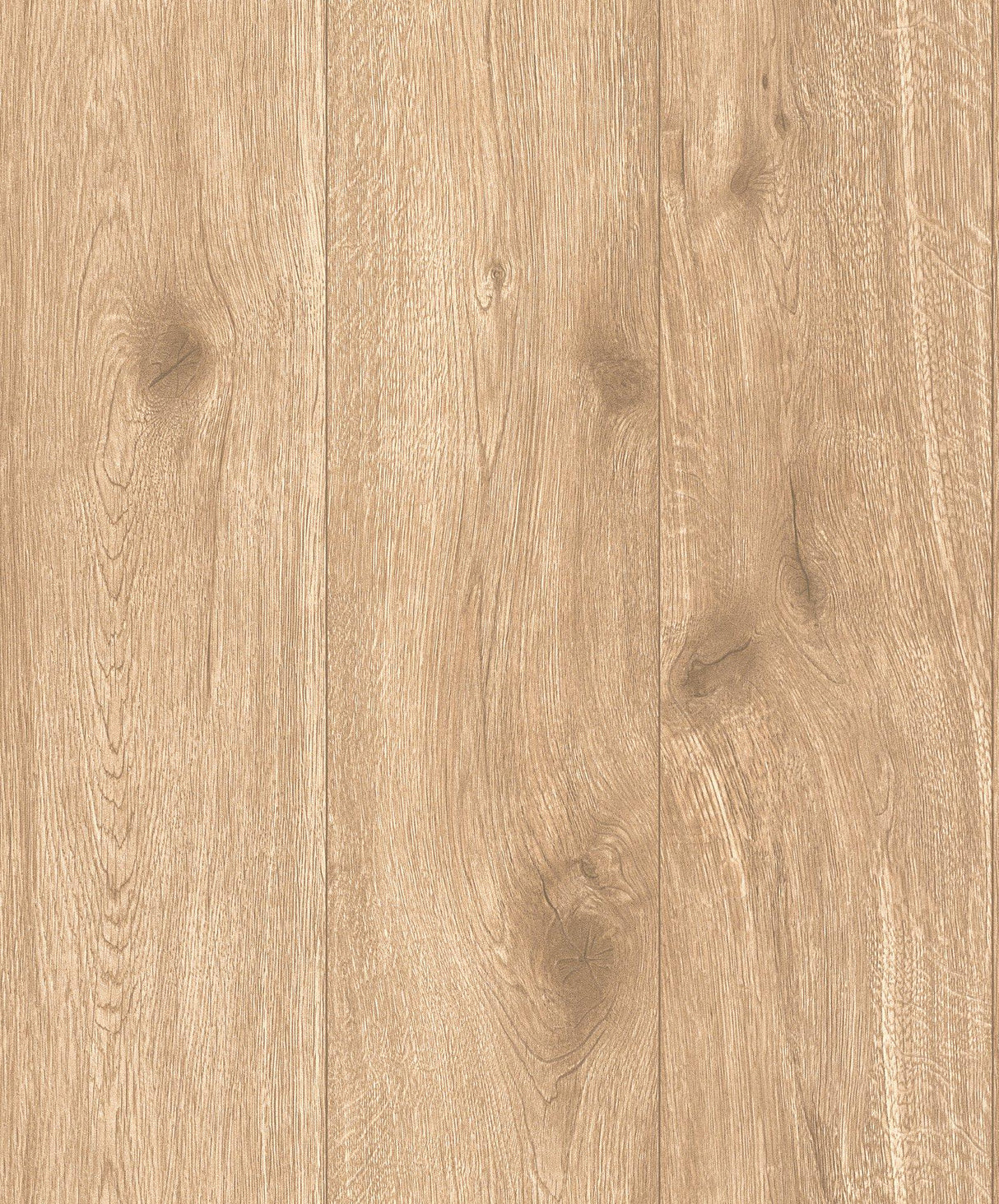 Galerie WW22219 The Woods and Wicker Forest Wood Effect Motif Beige Wallpaper WW22219 Beige Wallpaper